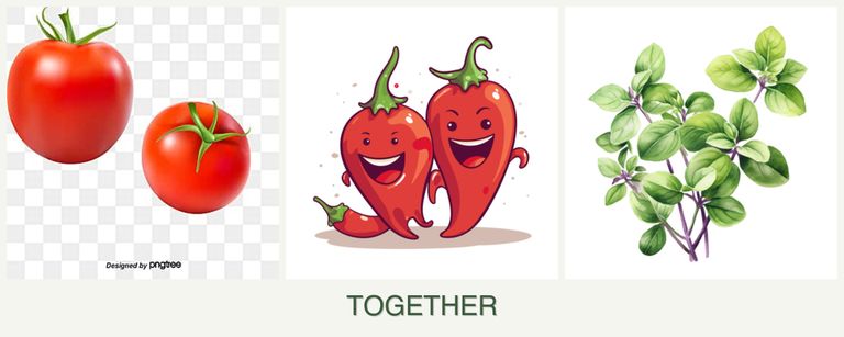 Can you plant tomatoes, peppers and oregano together?