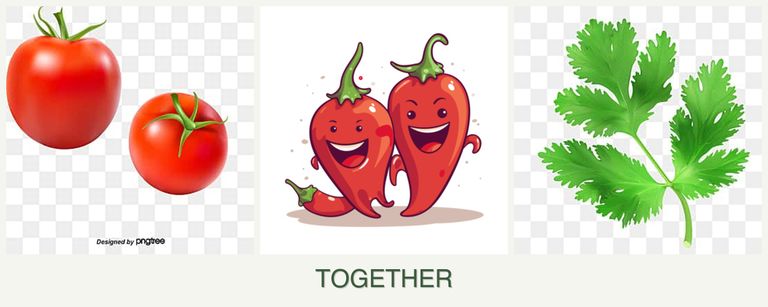 Can you plant tomatoes, peppers and parsley together?