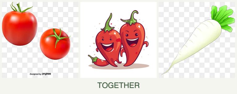 Can you plant tomatoes, peppers and radishes together?