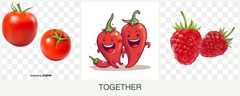 Can you plant tomatoes, peppers and raspberries together?