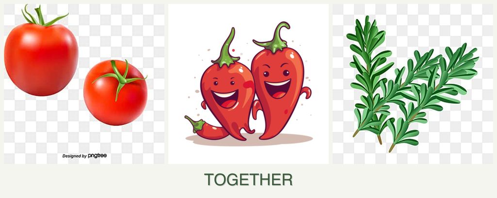 Can you plant tomatoes, peppers and rosemary together?