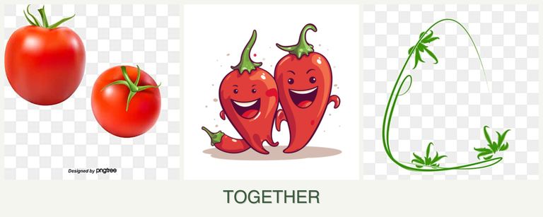 Can you plant tomatoes, peppers and tarragon together?