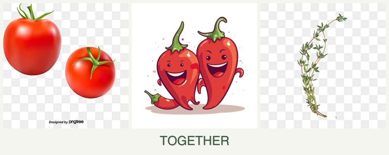 Can you plant tomatoes, peppers and thyme together?