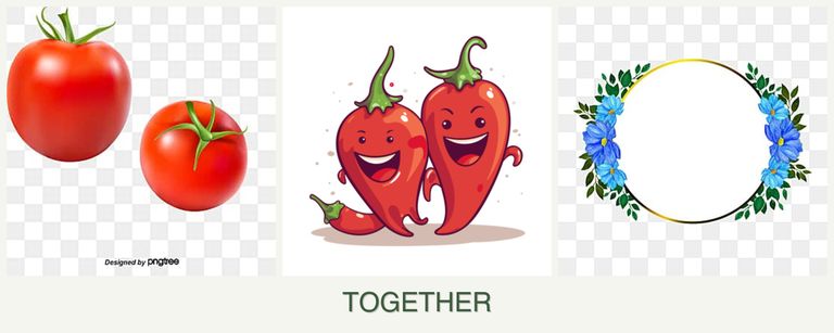 Can you plant tomatoes, peppers and zinnias together?