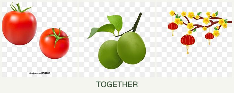 Can you plant tomatoes, plums and apricots together?