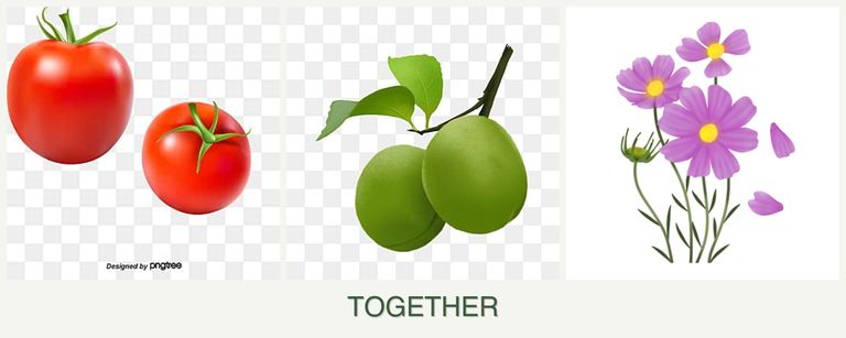 Can you plant tomatoes, plums and cosmos together?