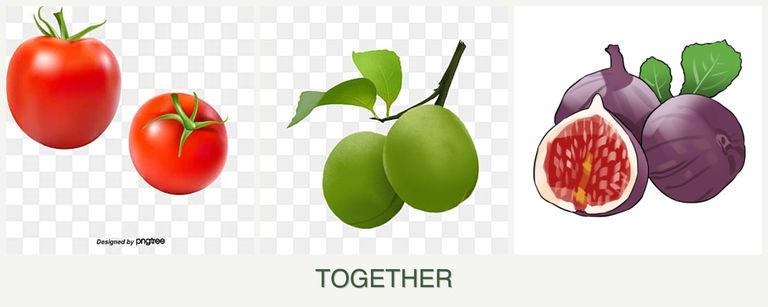 Can you plant tomatoes, plums and figs together?