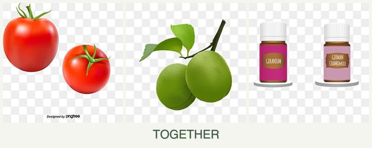 Can you plant tomatoes, plums and geraniums together?