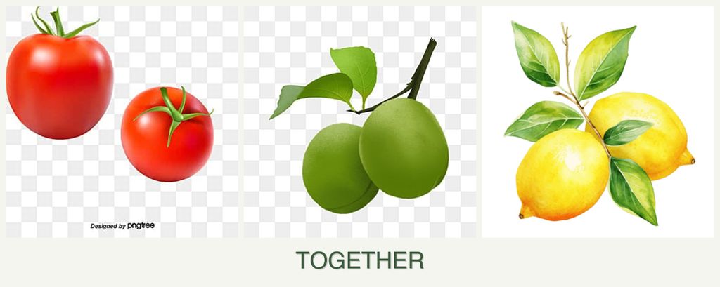 Can you plant tomatoes, plums and lemons together?