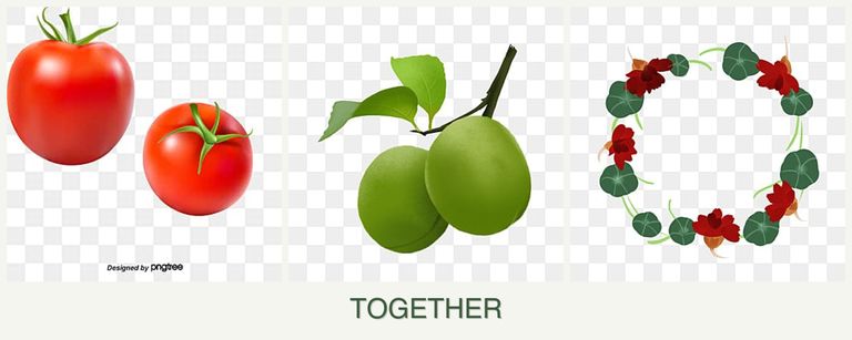 Can you plant tomatoes, plums and nasturtiums together?