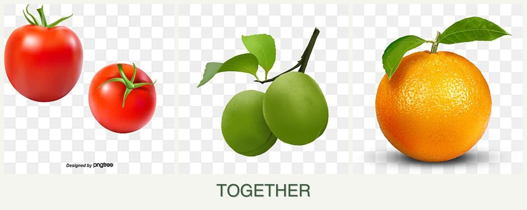 Can you plant tomatoes, plums and oranges together?