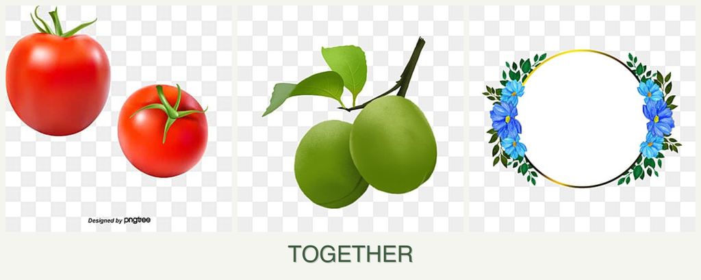 Can you plant tomatoes, plums and zinnias together?