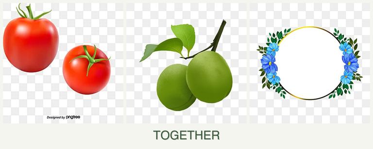 Can you plant tomatoes, plums and zinnias together?