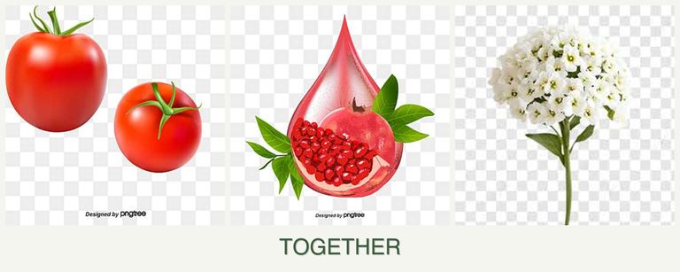 Can you plant tomatoes, pomegranates and alyssum together?