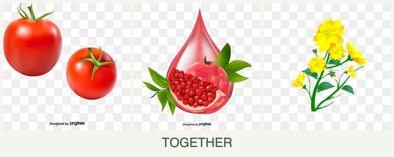 Can you plant tomatoes, pomegranates and calendula together?