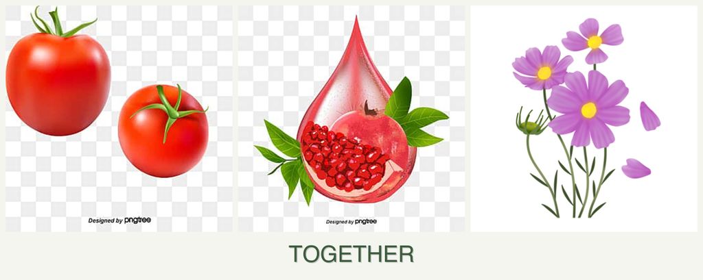 Can you plant tomatoes, pomegranates and cosmos together?