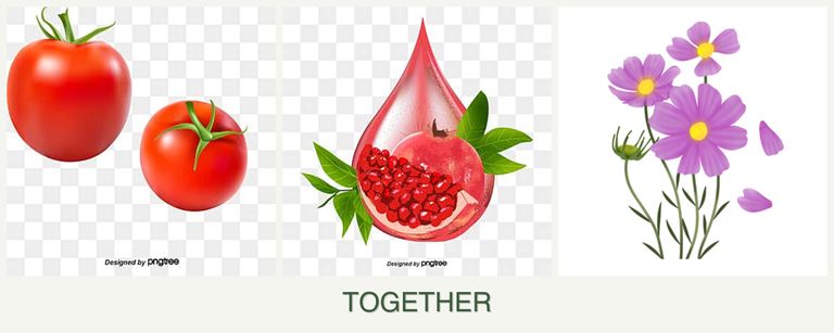 Can you plant tomatoes, pomegranates and cosmos together?