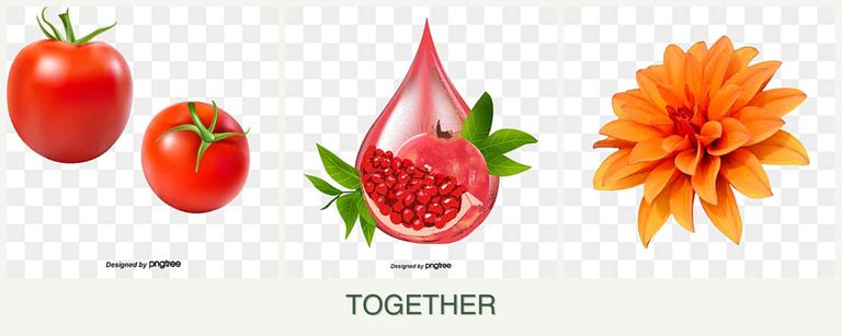 Can you plant tomatoes, pomegranates and dahlias together?