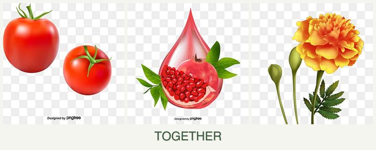 Can you plant tomatoes, pomegranates and marigolds together?