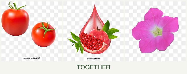 Can you plant tomatoes, pomegranates and petunias together?