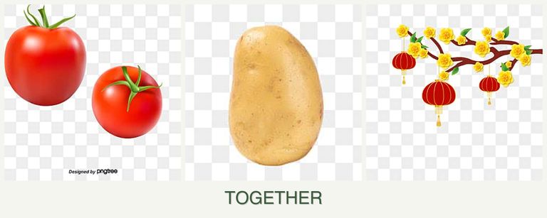 Can you plant tomatoes, potatoes and apricots together?
