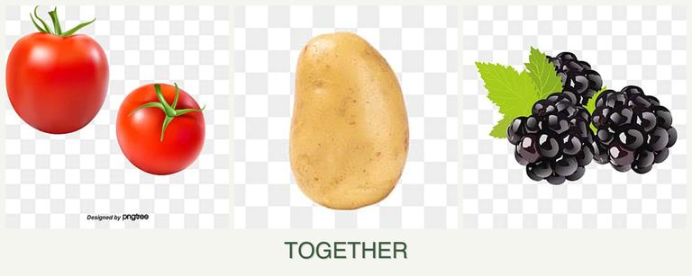 Can you plant tomatoes, potatoes and blackberries together?