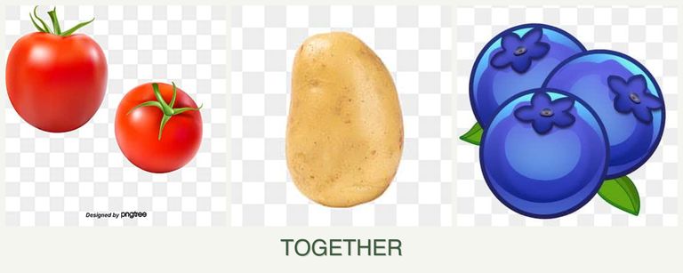 Can you plant tomatoes, potatoes and blueberries together?