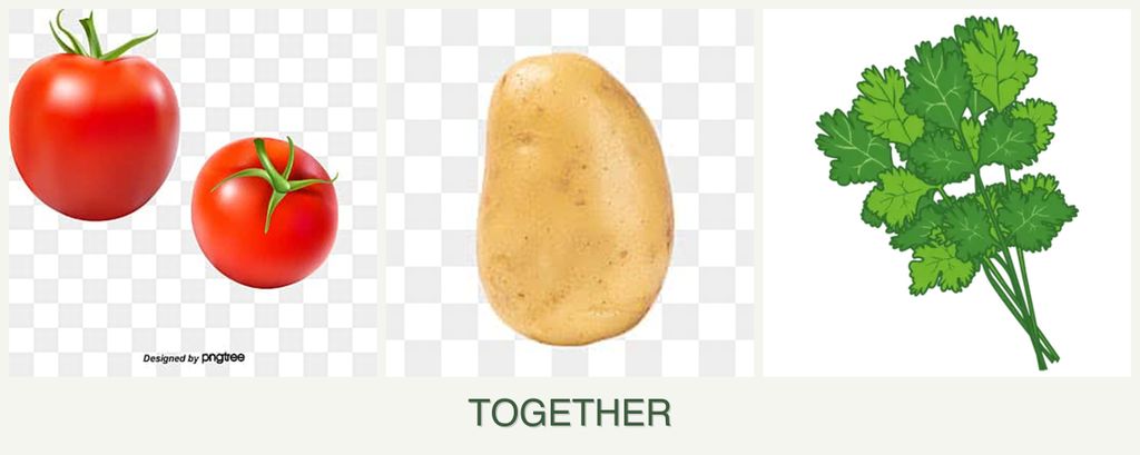 Can you plant tomatoes, potatoes and cilantro together?