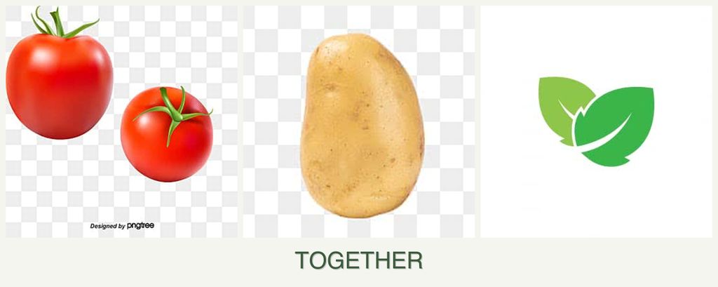 Can you plant tomatoes, potatoes and mint together?