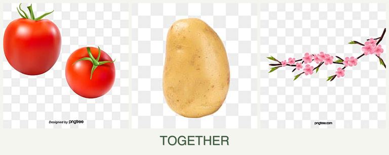 Can you plant tomatoes, potatoes and peaches together?