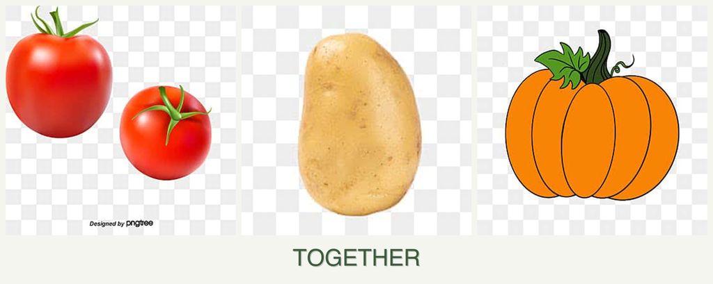 Can you plant tomatoes, potatoes and pumpkin together?