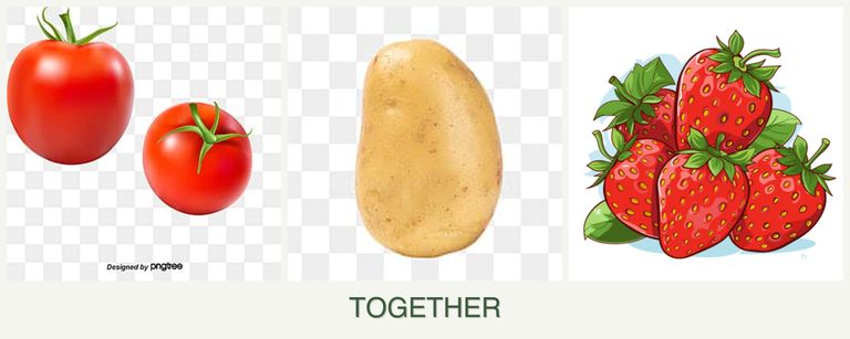 Can you plant tomatoes, potatoes and strawberries together?