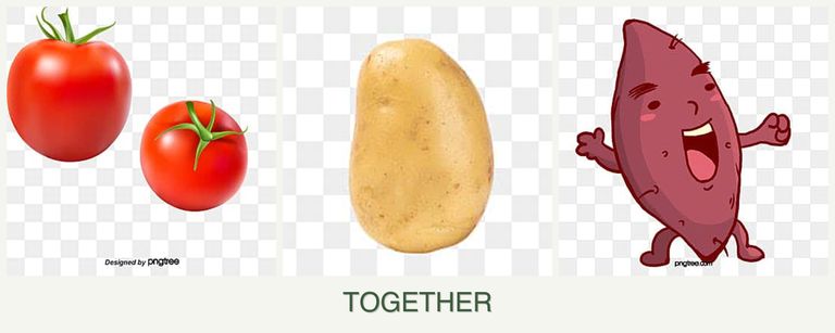Can you plant tomatoes, potatoes and sweet potatoes together?