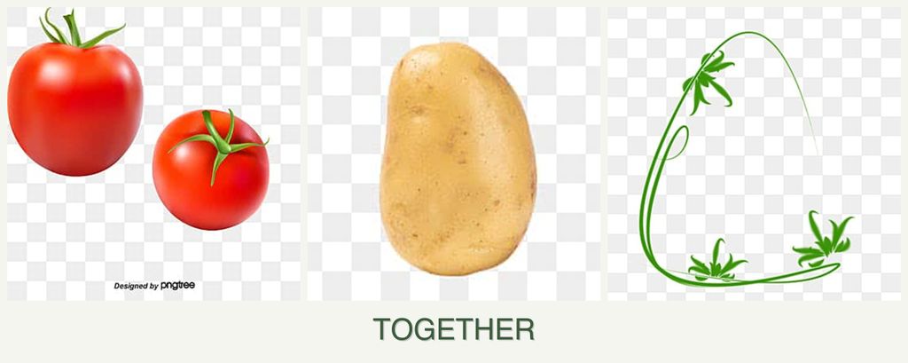 Can you plant tomatoes, potatoes and tarragon together?