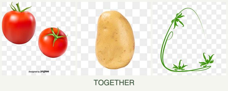 Can you plant tomatoes, potatoes and tarragon together?
