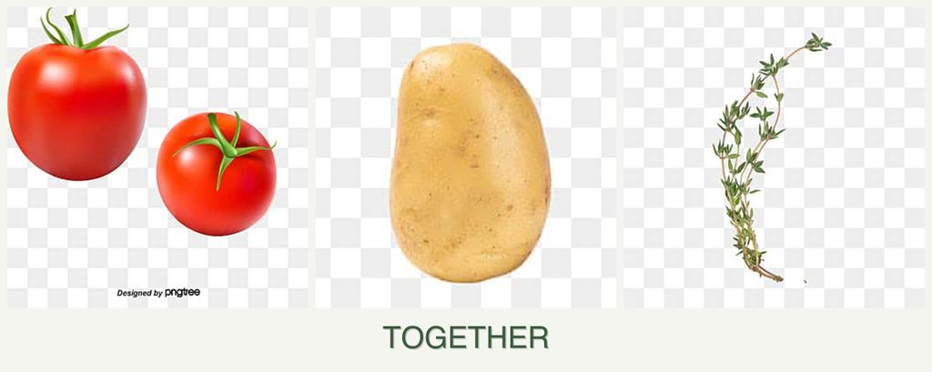 Can you plant tomatoes, potatoes and thyme together?
