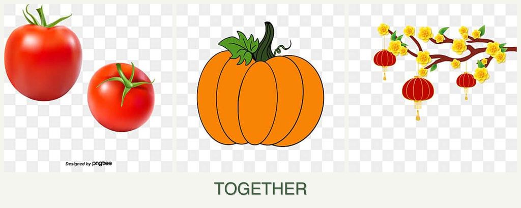 Can you plant tomatoes, pumpkin and apricots together?