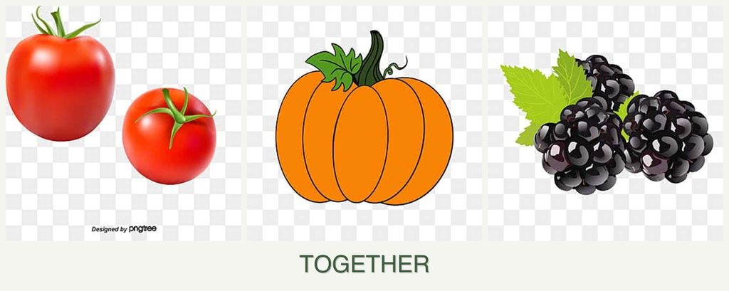 Can you plant tomatoes, pumpkin and blackberries together?