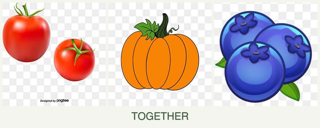 Can you plant tomatoes, pumpkin and blueberries together?