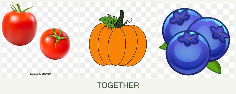 Can you plant tomatoes, pumpkin and blueberries together?