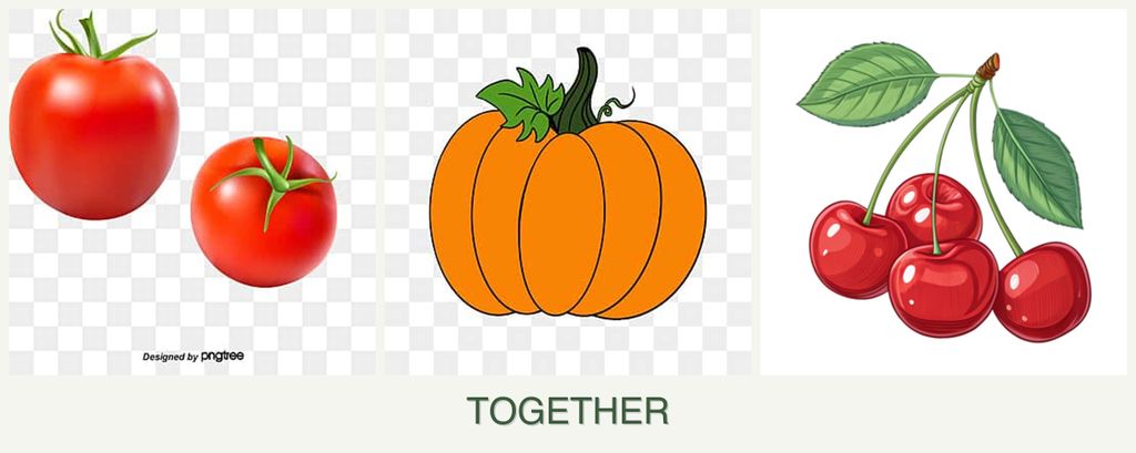 Can you plant tomatoes, pumpkin and cherries together?