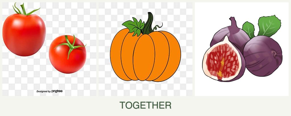 Can you plant tomatoes, pumpkin and figs together?