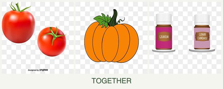Can you plant tomatoes, pumpkin and geraniums together?