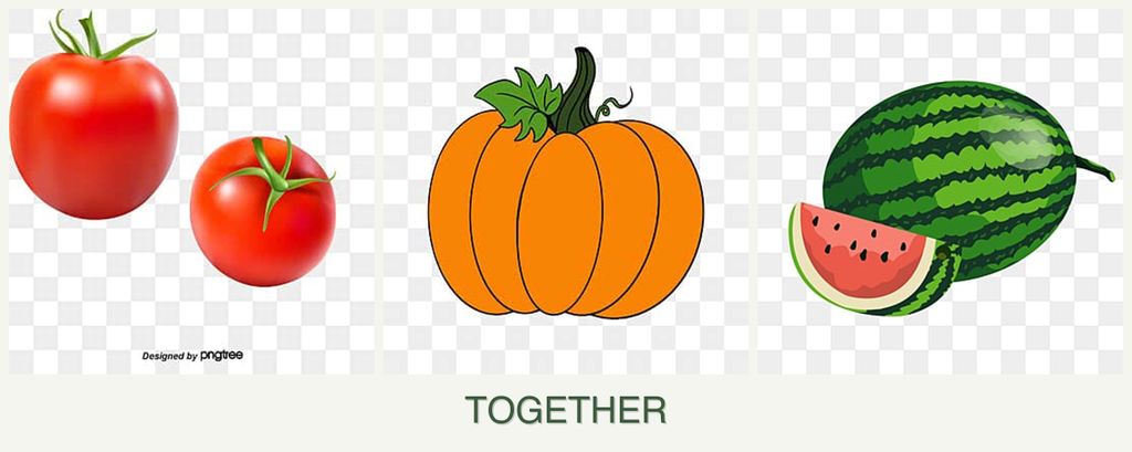Can you plant tomatoes, pumpkin and melons together?