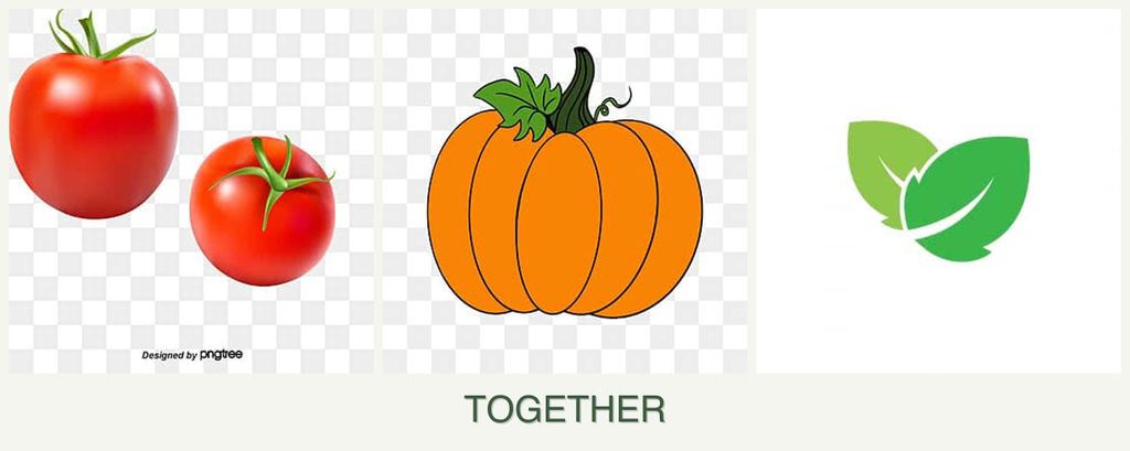Can you plant tomatoes, pumpkin and mint together?