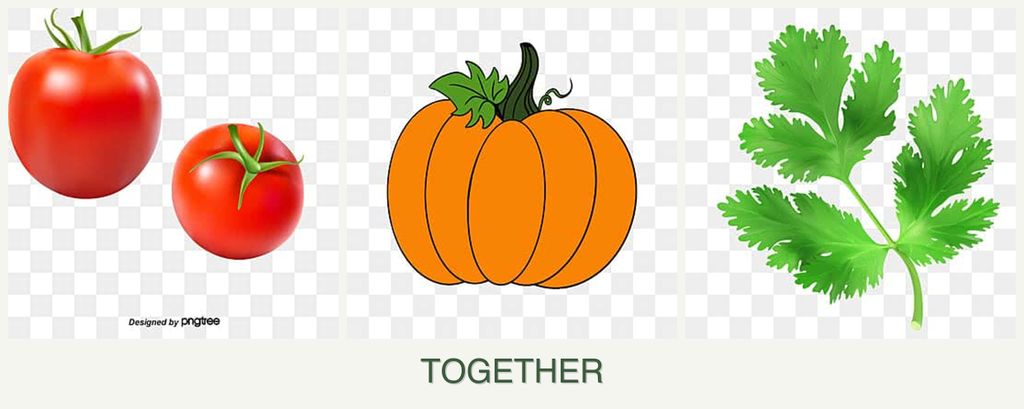 Can you plant tomatoes, pumpkin and parsley together?