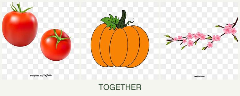 Can you plant tomatoes, pumpkin and peaches together?
