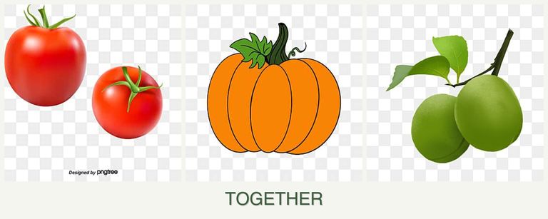 Can you plant tomatoes, pumpkin and plums together?