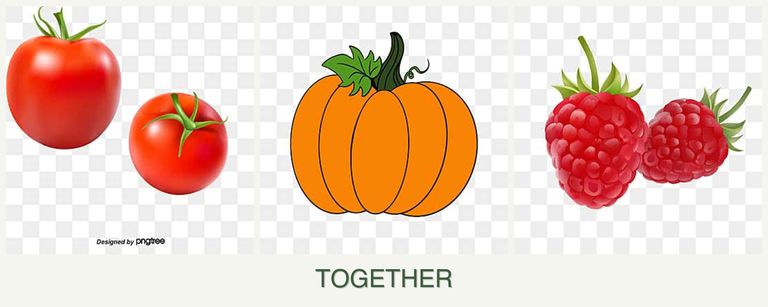 Can you plant tomatoes, pumpkin and raspberries together?