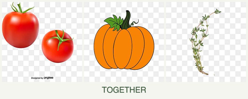 Can you plant tomatoes, pumpkin and thyme together?